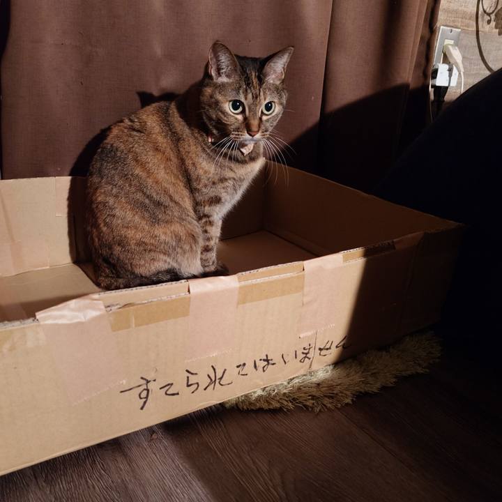 B21489e8 def2 4c07 b221 8885f5ac5382 1761659373431