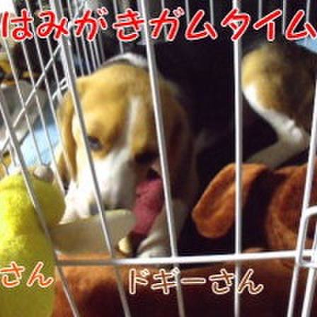 B214bde5 2409 41df b394 aa5a84ff4d24 1682213263172