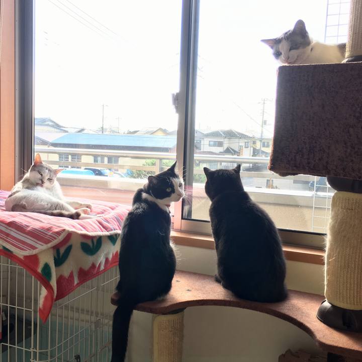 B215348b 9c6f 40b4 a70b 1b877ae844ad 1539907837152