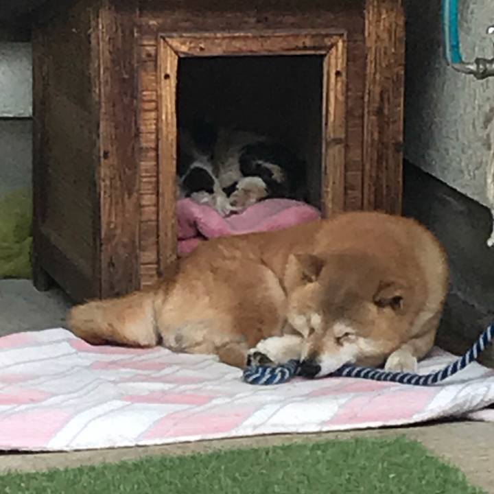 B215415a 1b2f 47db a865 35e3763475e0 1525655822732