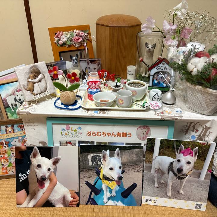 B2155c3b 4001 465b ac23 70a25a474068 1765621712252