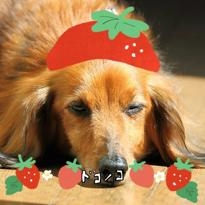 B2156cb0 24dc 465a bef3 cb3f32bea688 1775391522700