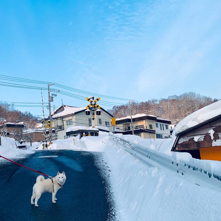 B2156cec 1391 4634 966d 1841979ef2b6 1675636754149