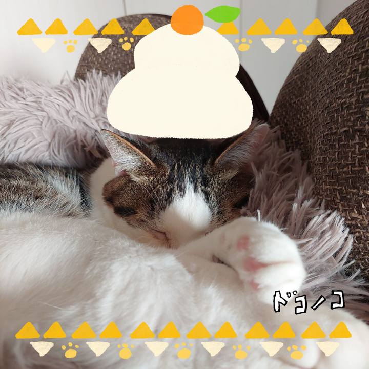 B2156e81 d03a 43af 80d0 7c41dfbb8c04 1704328036646