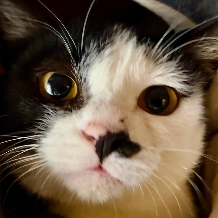 B2158104 c711 4ce2 8c6c f0a4bf762aa9 1765003431025