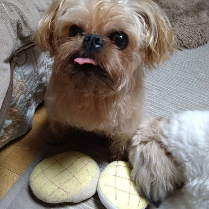 B2158412 ecd5 4e26 ba93 7404a5469f57 1618665650346