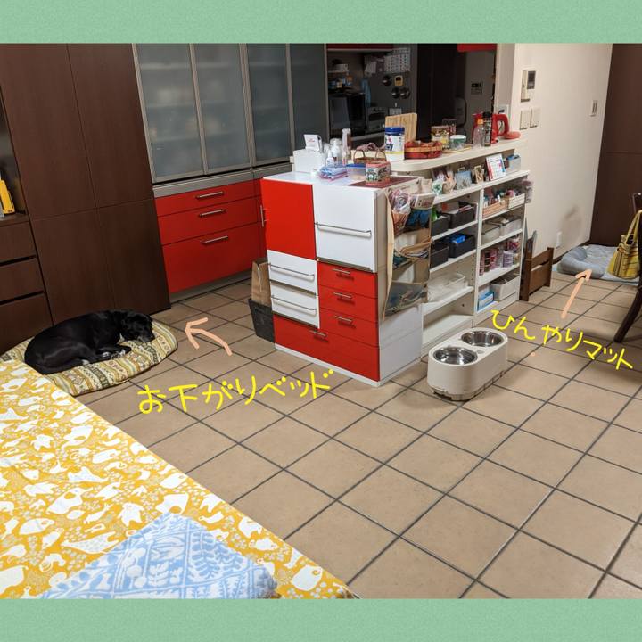 B2159446 1e0b 4ae1 b0ca cbdf071b43f5 1691193527519