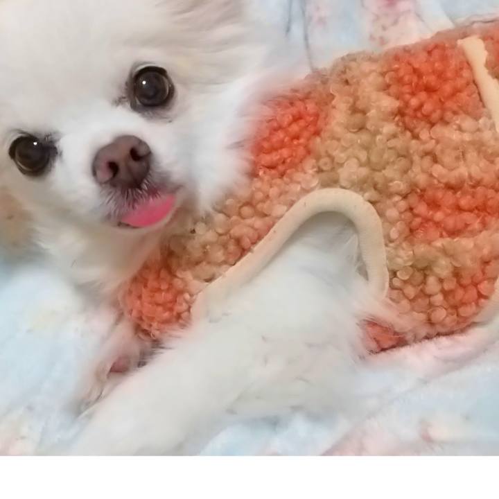 B215c3b2 3dbb 413b b667 38785d2bc255 1642249317513