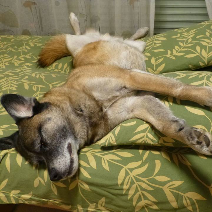 B215d3cb 8918 499a af7a bce97563bb42 1581260955506