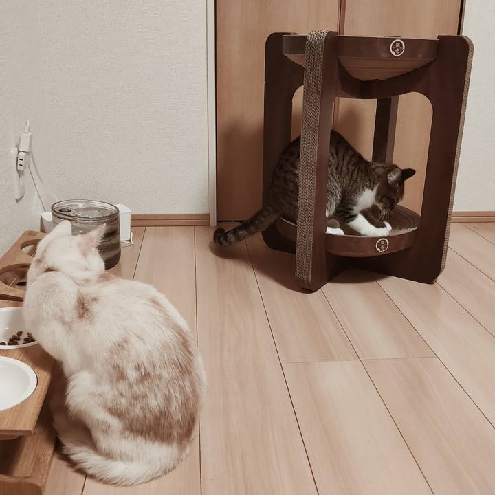 B215e278 0ee2 47d6 a56f 93bc0fc775ee 1641436676416