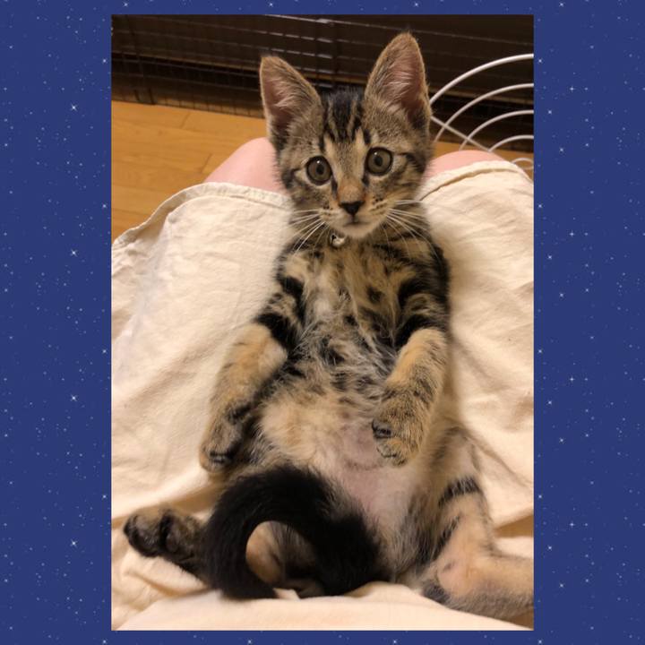 B215eb4f 09d3 4ba9 9235 58d263367f90 1725107657239