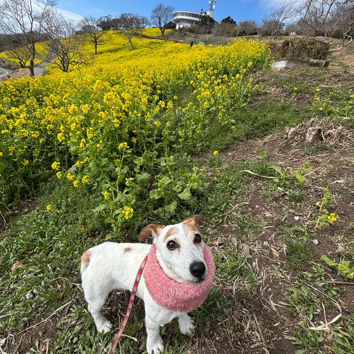 B2160daf bfdc 413b bc44 da03bce6f3e2 1773319997362