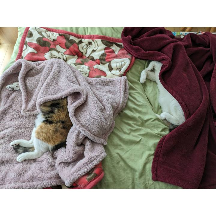 B21615bb 265c 479e 8b01 42e4f5add94b 1703222829997