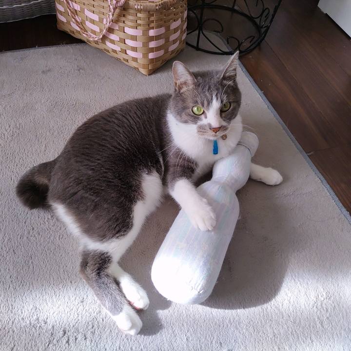 B2168c0e af51 464d 97f2 0077a7153b83 1674109462708