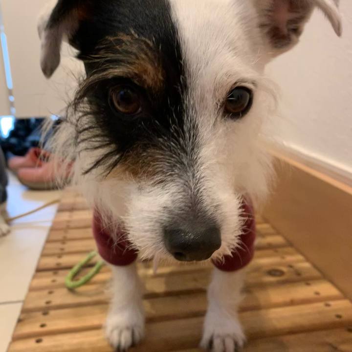 B2168c5c 4be1 40c4 b3f1 4702e5b3c5c8 1615256472450