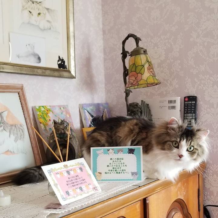 B2169e09 1faf 4627 be7a 2f6dbfc81ce0 1556848899758