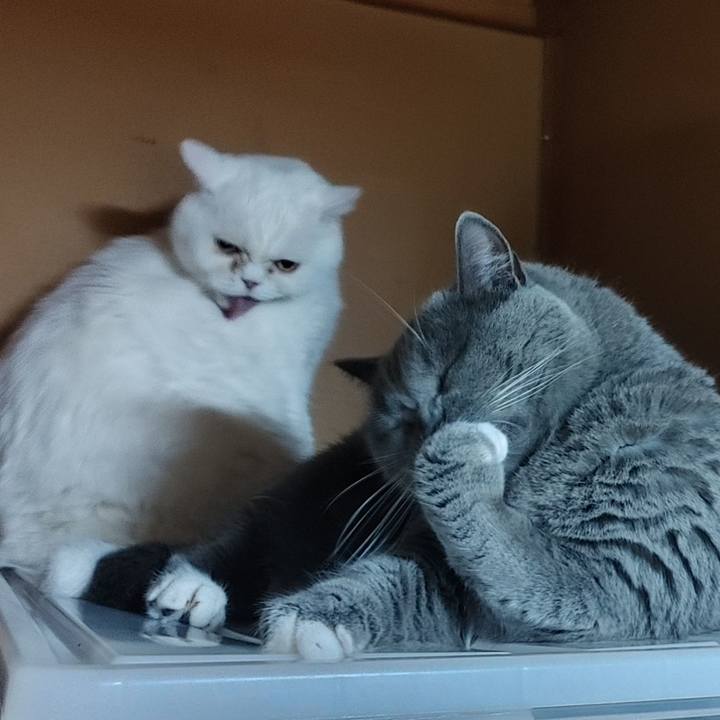 B216bd04 3234 4113 8582 1245ecc847e3 1695740654229