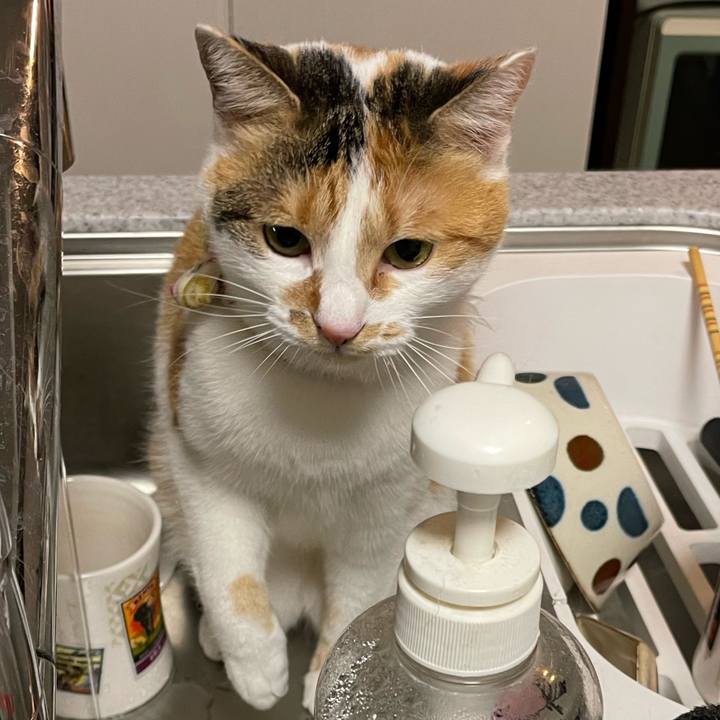 B216cfcc ee7c 40f9 8644 cf7fdbfc4c6d 1641393389711