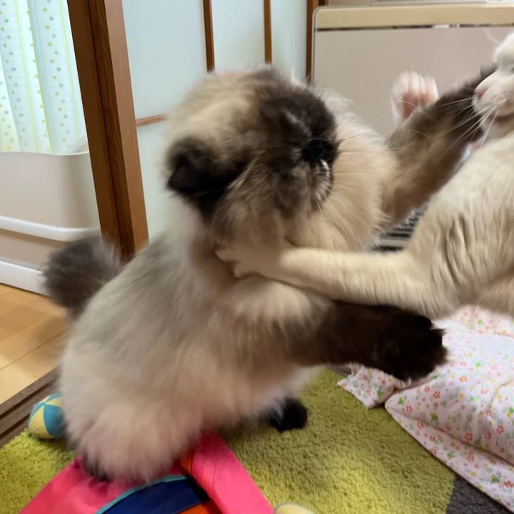 B216e8c2 0e55 4441 a3a5 58789d6c5b41 1774781898379