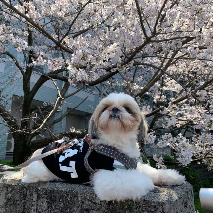 B21705f2 649b 420b beff 096a69b9db40 1585972492049