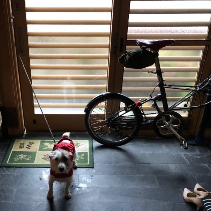 B21752f1 9ed3 4b01 ace7 a19c53749777 1603408908859