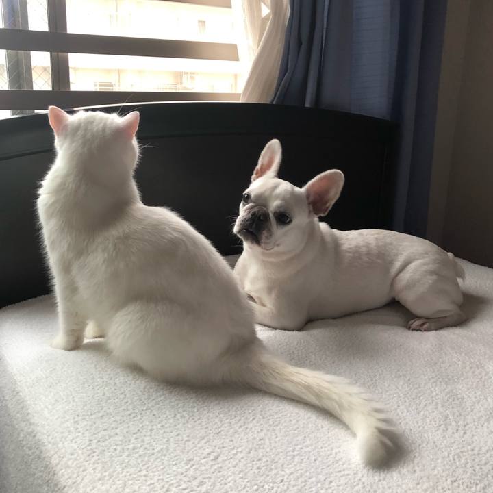 B2179603 754d 4edd 9afa b90613ab7f35 1630458158321