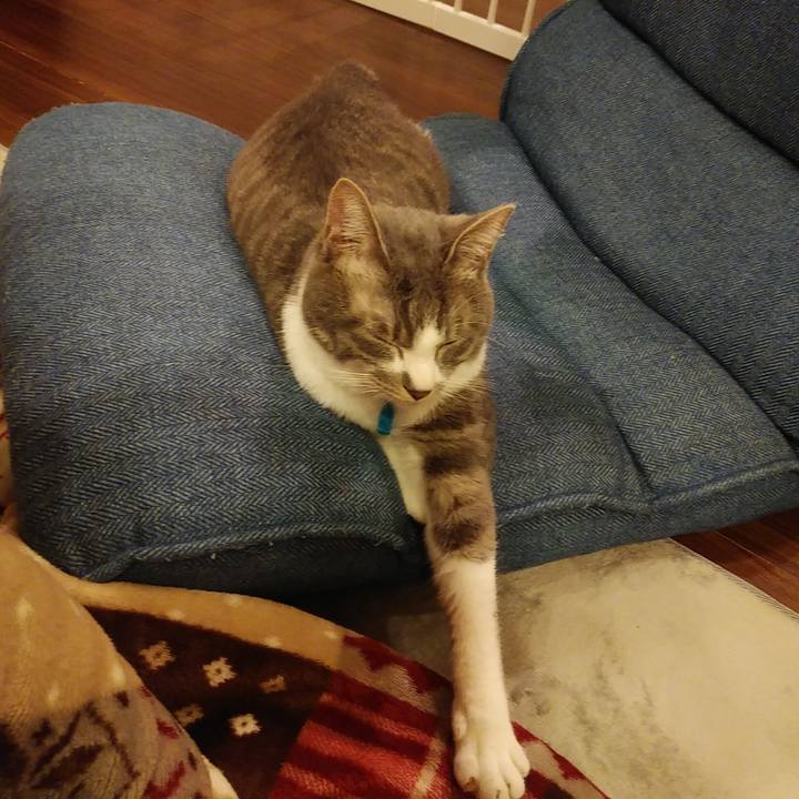 B217c7dd 39fc 4d3f a23d 581ee1ae6cfe 1586620344908