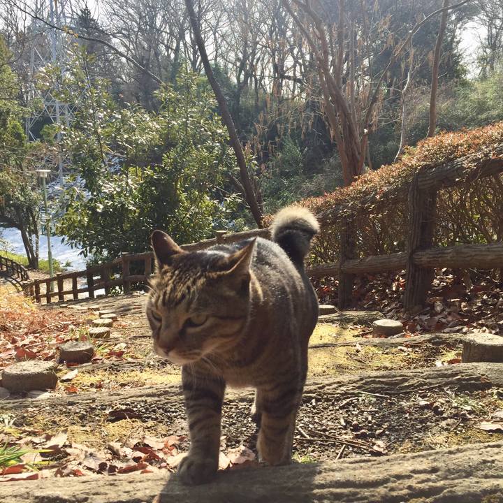 B217de79 a8ab 42cf a361 c91652839cd7 1517643514725