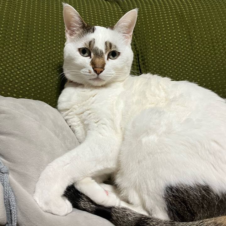 B218250a 1056 449a 8fb9 3bbe71819971 1680609935785