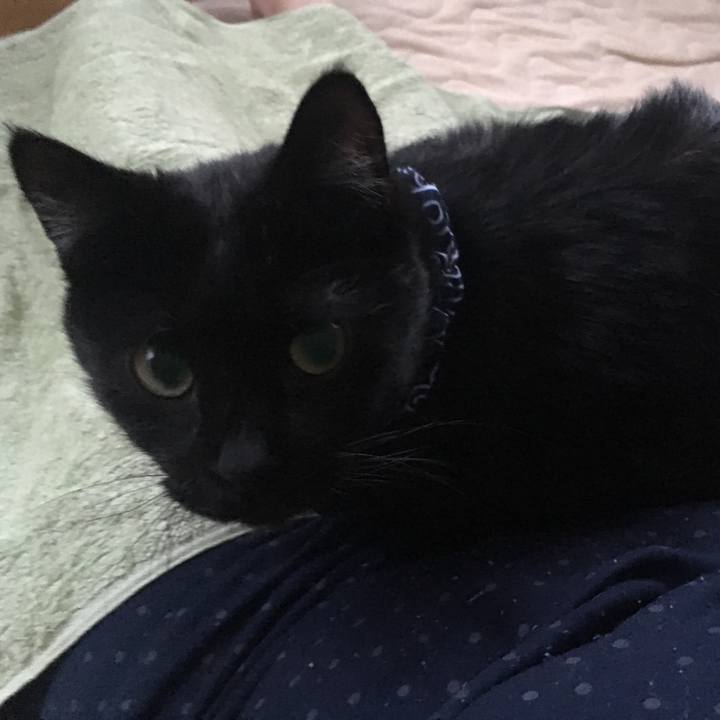 B218391b d9e1 47d4 991a 125b8b1ad393 1550563447602