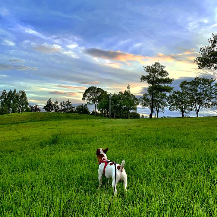 B218737f 7811 458a 9e5a 463133564fe1 1565091756894