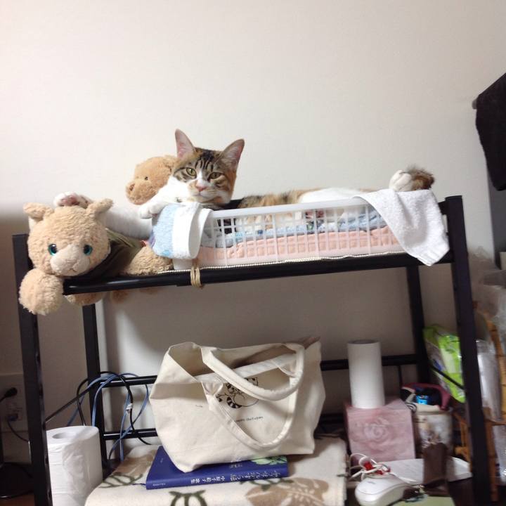 B218eb8a 0c88 4283 a083 e1d48d35e3a9 1643669381686