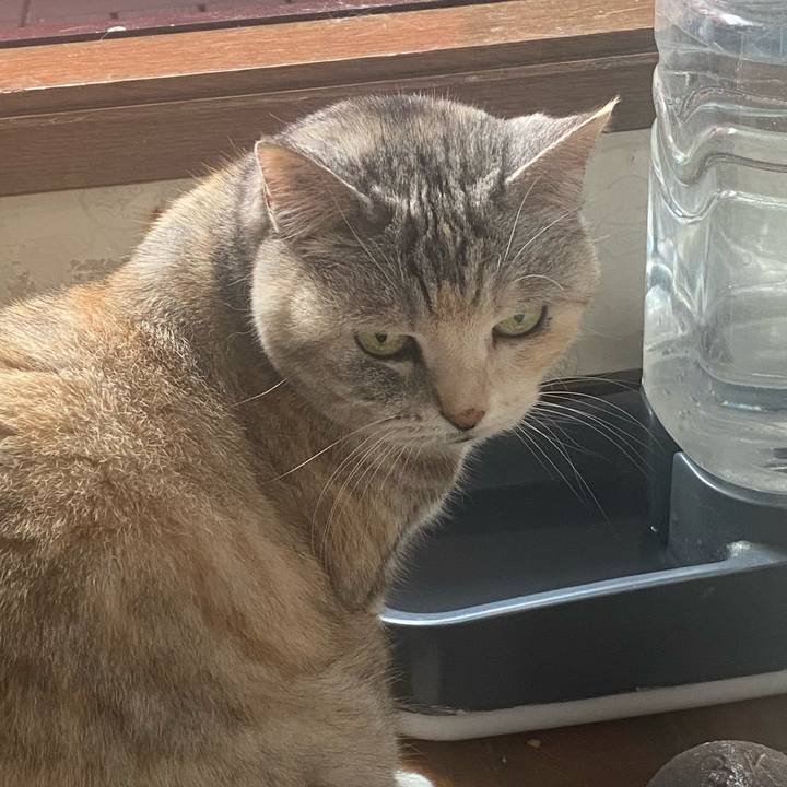 B218f711 6f00 4de1 afab db6e6d5f7283 1746327319221