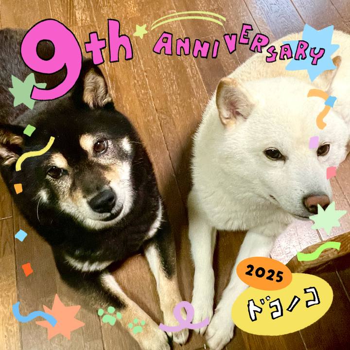 B218ffbe 74b2 41d3 9c4f 8a5dfb3956a5 1749094085237