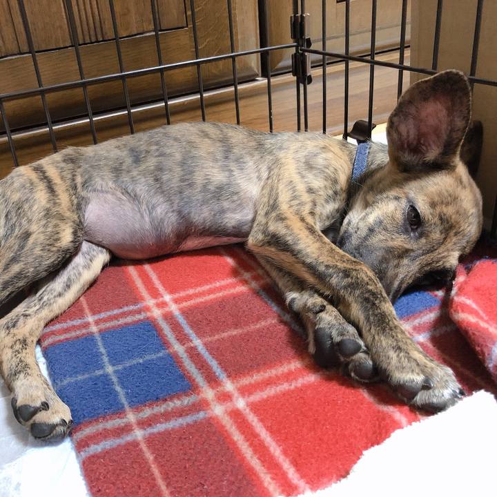 B2195acb 306d 4e7f 9c1d d09584ca7edb 1568038608425