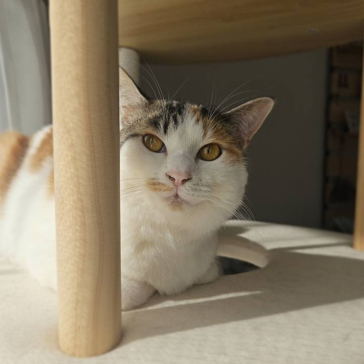 B2196b23 42ab 4b94 8b44 7fee7e367760 1771413330061