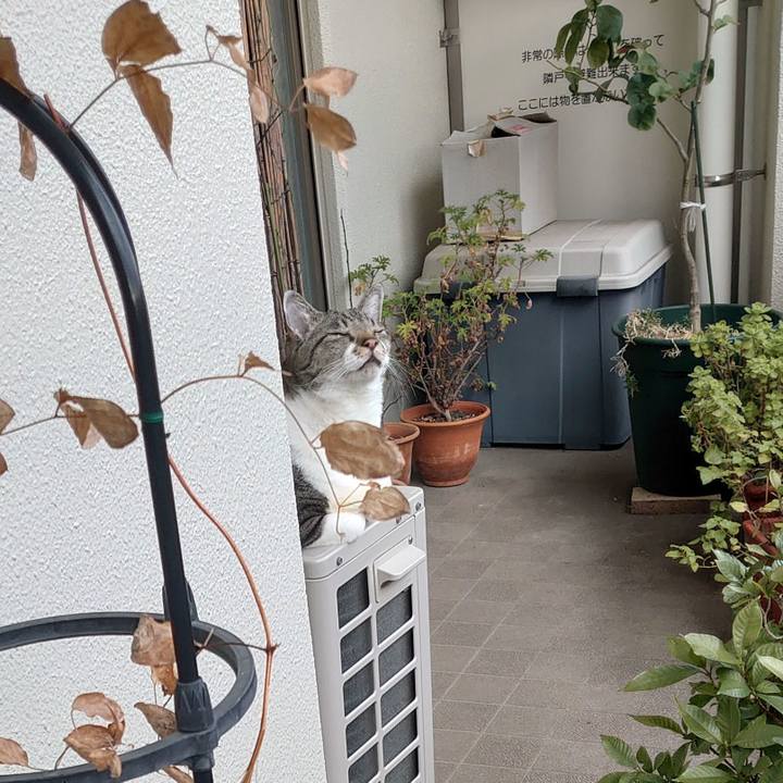 B2198783 bca4 4224 88c0 5299220b4979 1673396250194