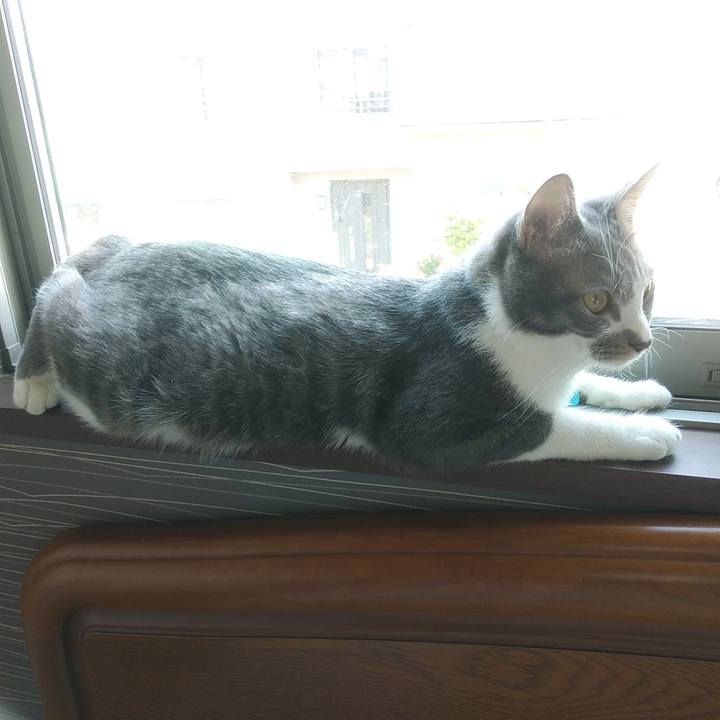 B21a11d9 3dae 409c a4b8 53e44dbe47a3 1589410187495