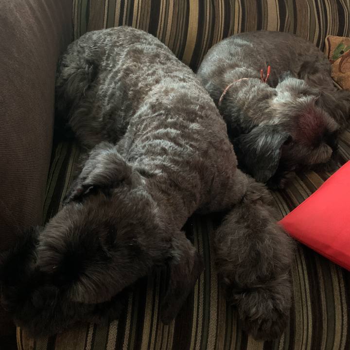 B21a5c6c 8391 4c00 8ad2 035d12f21f28 1597532559917