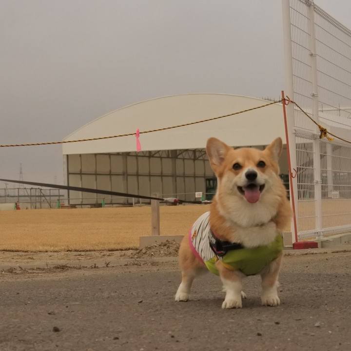 B21a60c8 6b3a 414f 9a96 bd8181f76a18 1582373884853