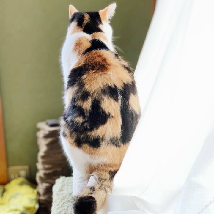 B21ab378 6fed 4ffa a467 98d1c5a71112 1545615331102