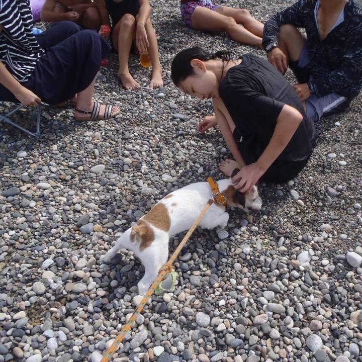 B21ad528 a22f 447d 84c7 6d9330c4a637 1534662693912