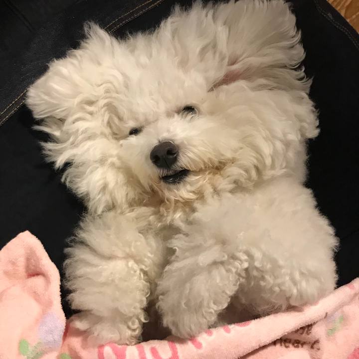 B21ae0e8 84eb 482b 97e6 b8e5784fb219 1542442260867