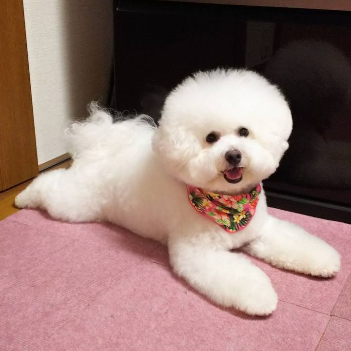 B21b02fa 10dc 4ca9 84c2 da8a6b83bcf6 1533034778554