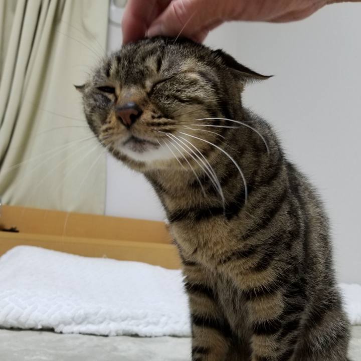 B21b0e25 06ff 4044 9c22 de4637eb6bb5 1611265020392