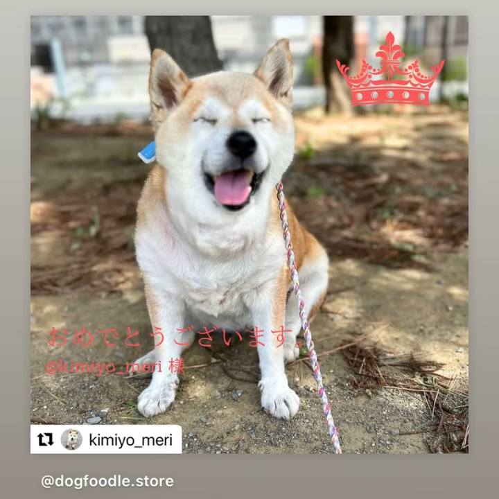 B21b27be 2b87 4358 83af 66587d519e73 1751412333901