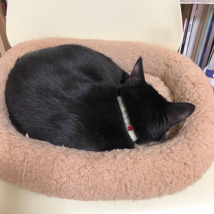 B21b3c45 5cf2 476f ad24 0f30790db042 1587556740886