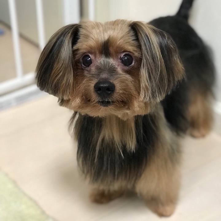 B21b4b65 be32 4404 9699 e825f97e82f5 1533881158607