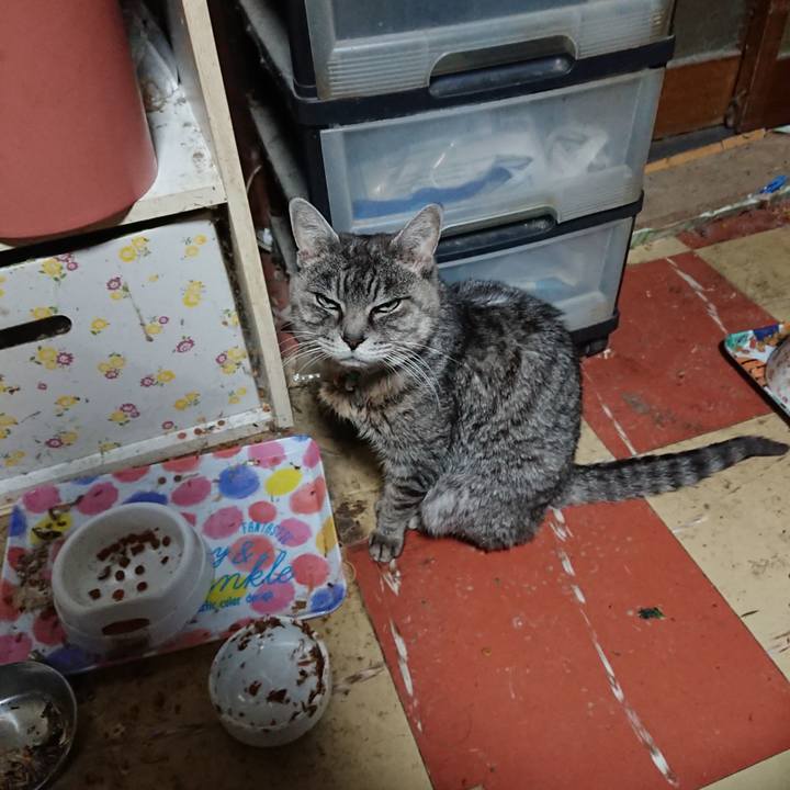 B21b53bd 25dd 46c0 9ddc 9b08fef37ef8 1575753573541