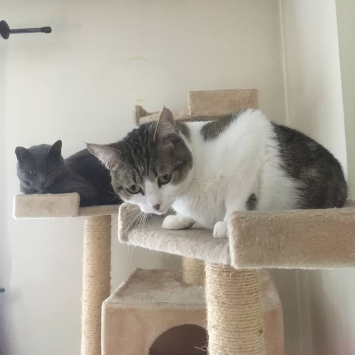 B21b5679 9d1f 4a6e 994d 1473acaaad44 1618177212798